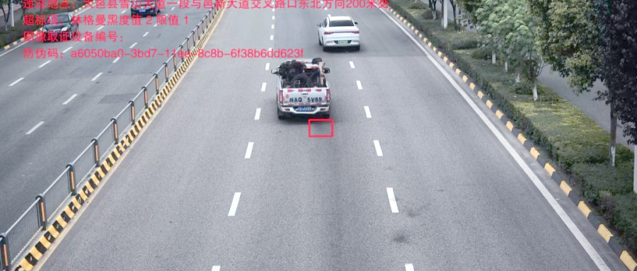 313 (2).png